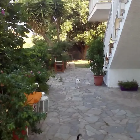 Apartment Vasiliki Nikolaiika